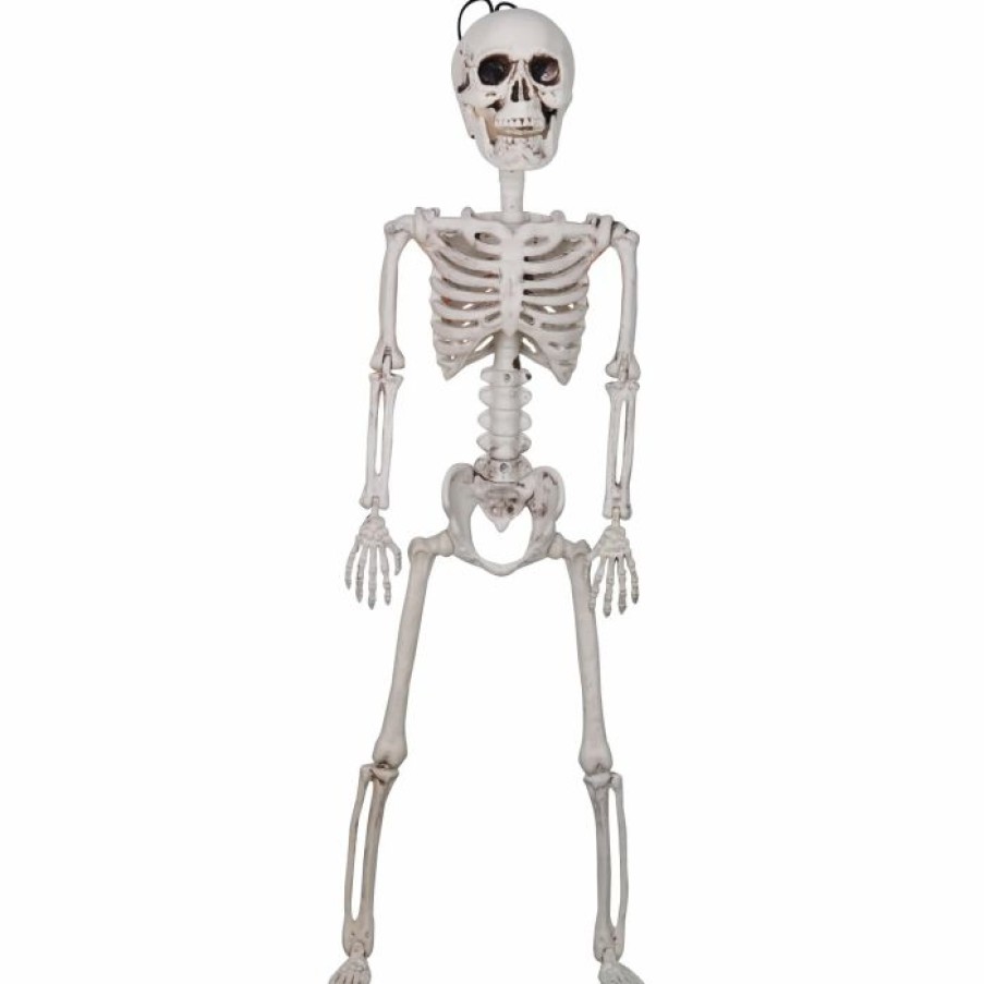 Spooky Scary Skeletons * | Joyin 2Pcs Skeleton Posable Halloween Decoration 24In Halloween Decorations