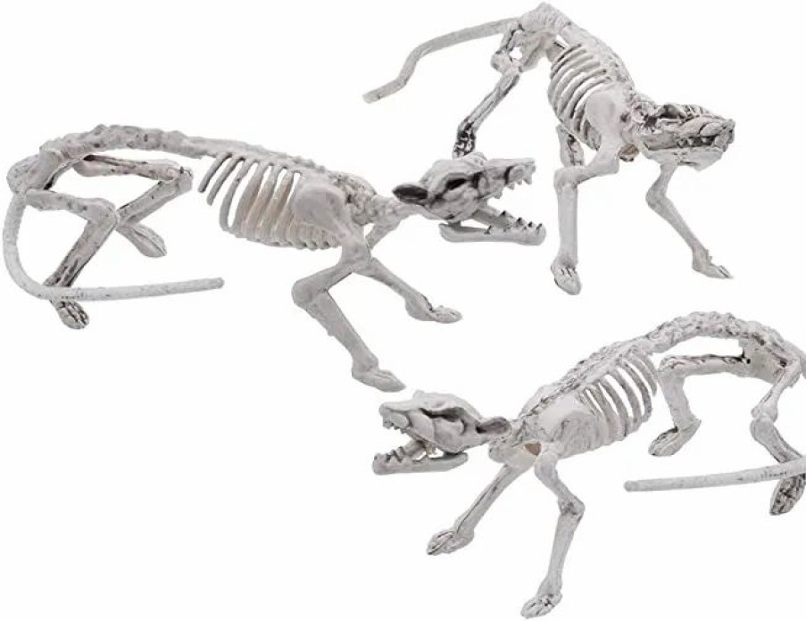 Spooky Scary Skeletons * | Joyin 3Pcs Posable Plastic Rat Skeleton Decoration 14In Halloween Decorations