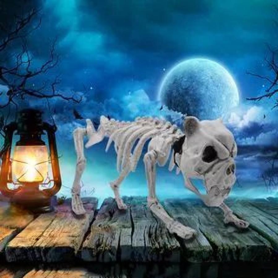 Spooky Scary Skeletons * | Joyin Halloween Posable Dog Skeleton Decoration 16In Halloween Decorations