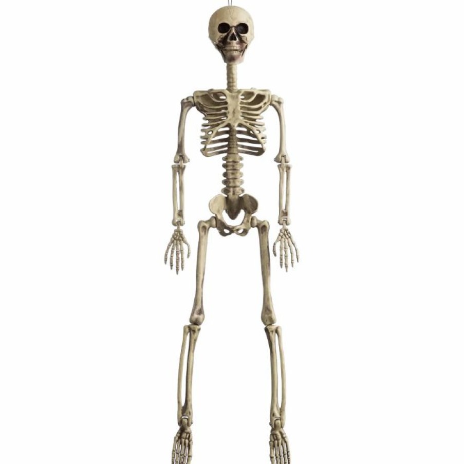 Spooky Scary Skeletons * | Joyin Posable Skeleton 36In Halloween Decorations