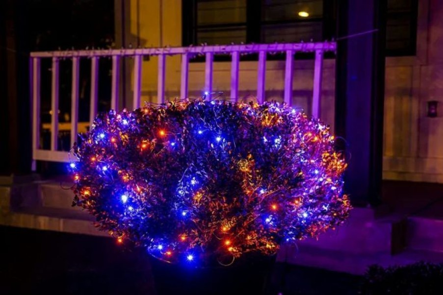 Halloween Lights * | Joiedomi 300 Led Black Wire Net Lights (Orange & Purple) Halloween Decorations