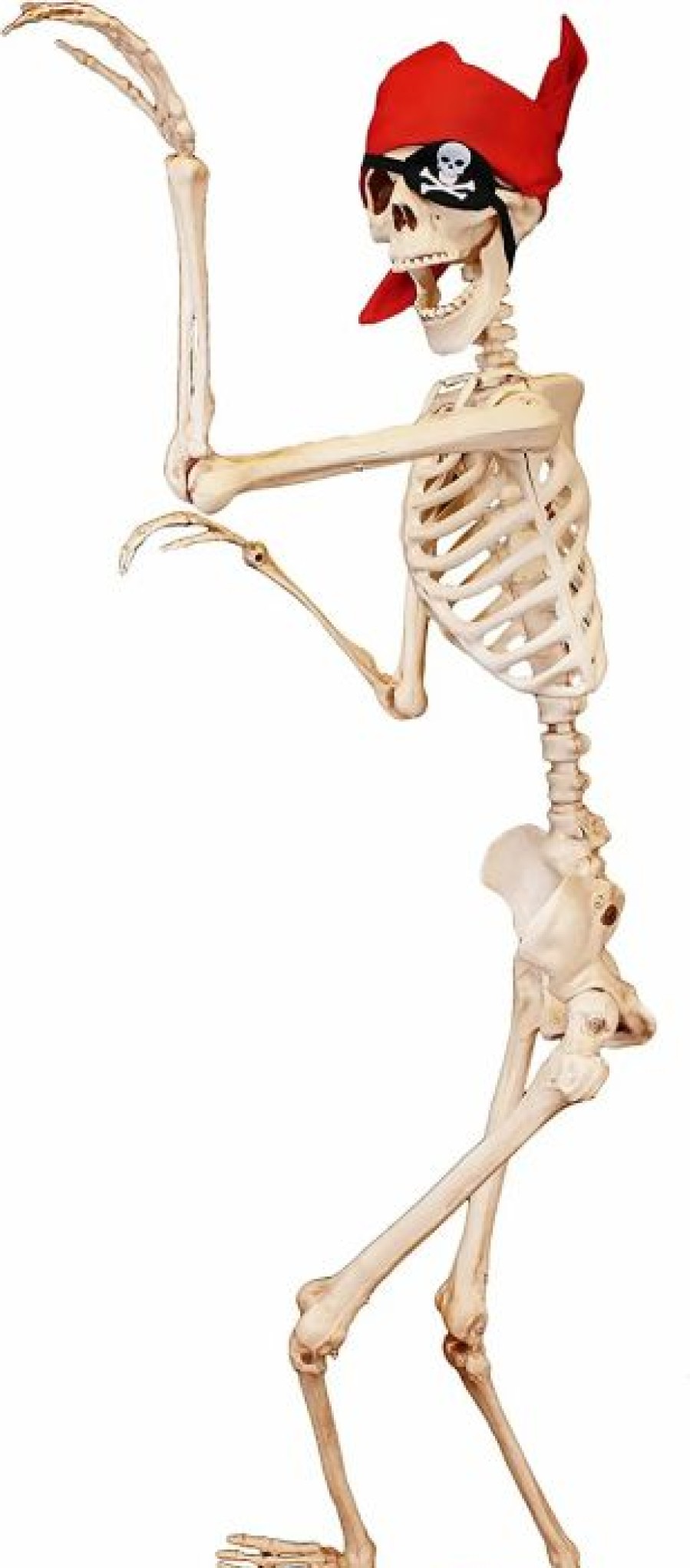 Spooky Scary Skeletons * | Joyin Posable Skeleton Halloween Decoration 5Ft Halloween Decorations