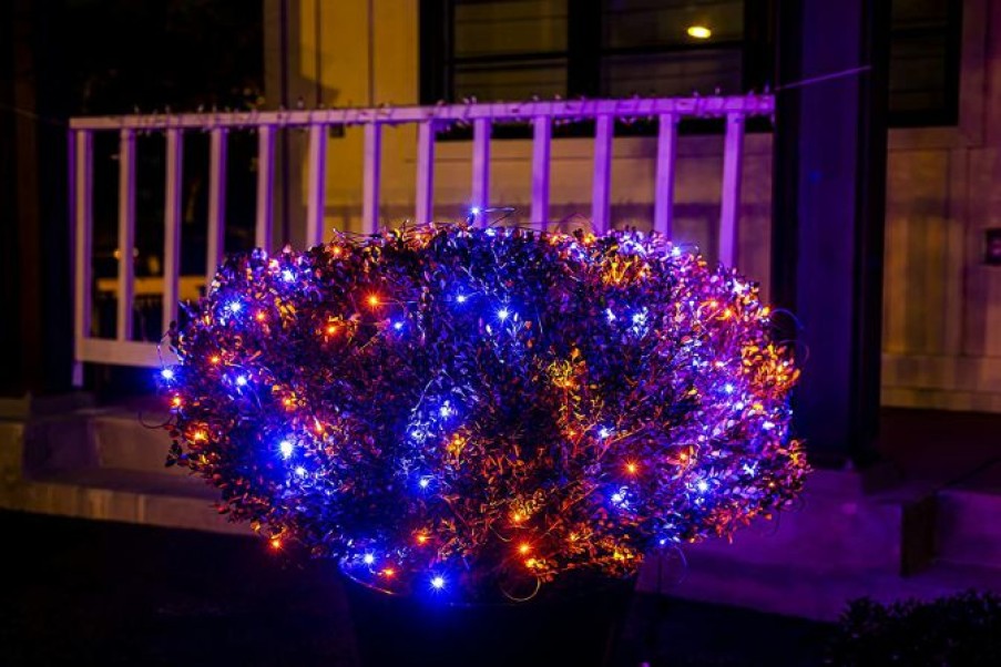 Halloween Lights * | Joiedomi 100 Led Orange And Purple Halloween Net Lights Halloween Decorations