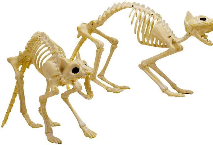 Spooky Scary Skeletons * | Joyin 2Pcs Halloween Cat Skeleton With Tail Halloween Decorations